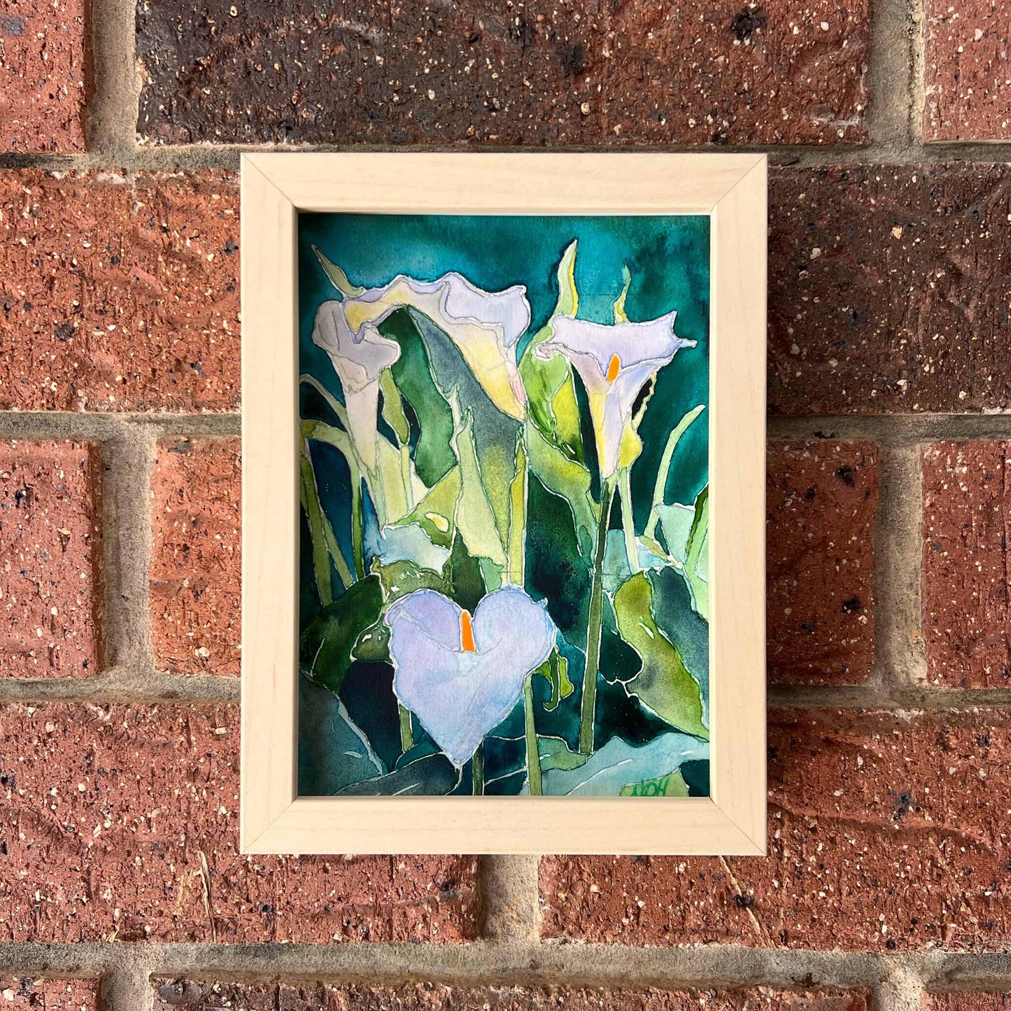 Little Calla Lily