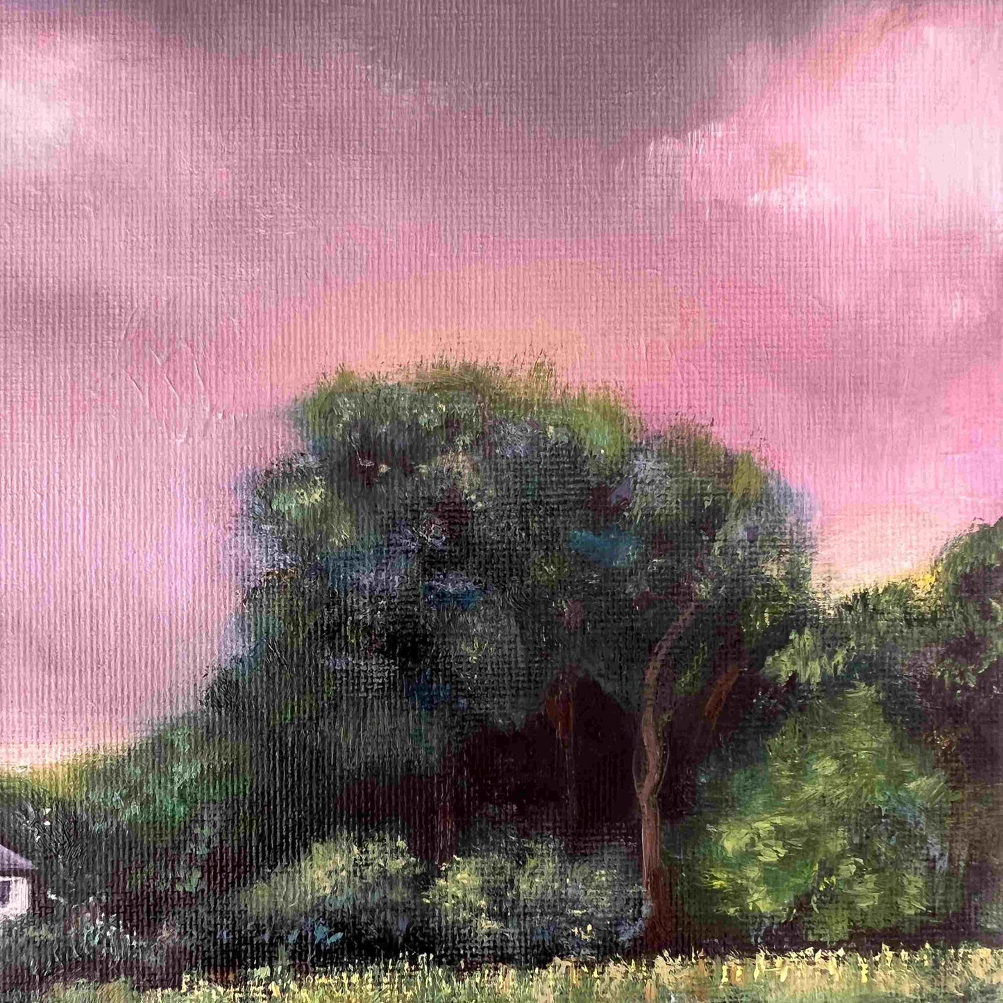 Beneath a Purple Sky