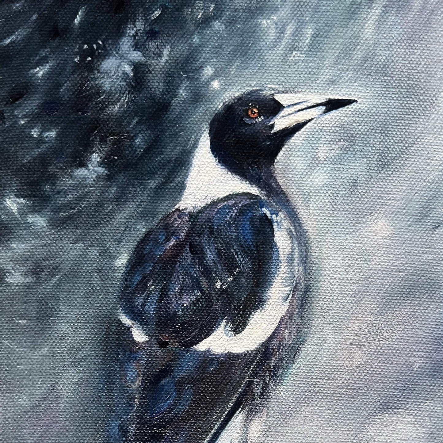 Storm Light Magpie