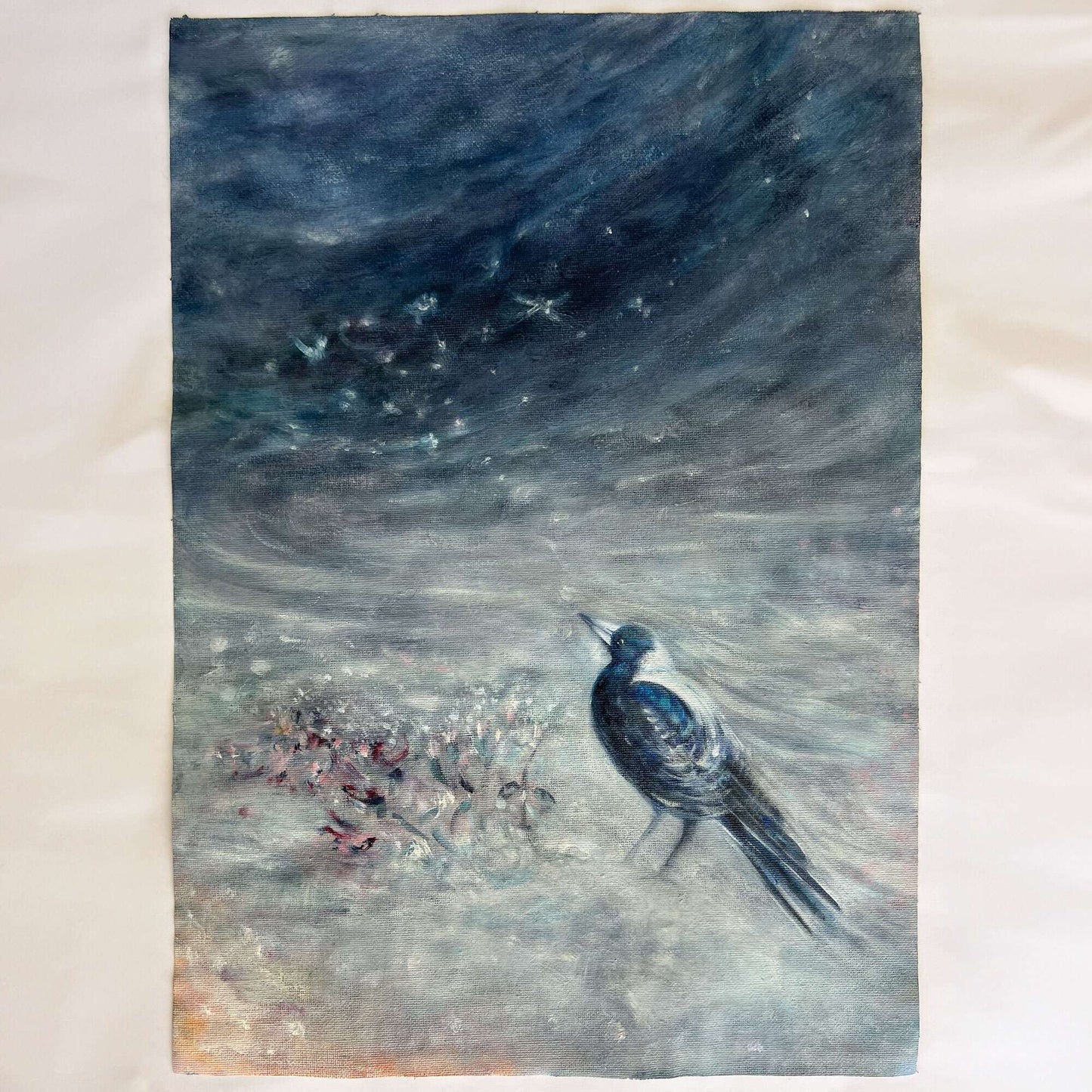 Mist Wing Magpie