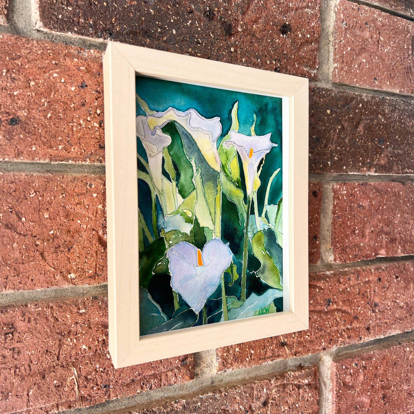 Little Calla Lily
