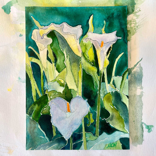 Little Calla Lily