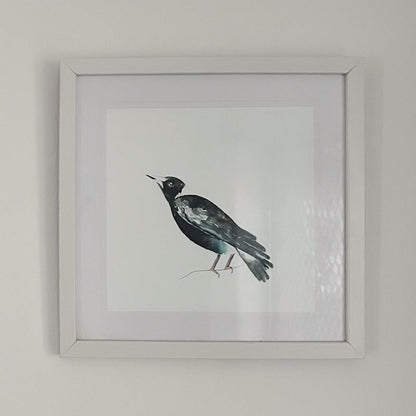 Magpie Art Print 8x8”