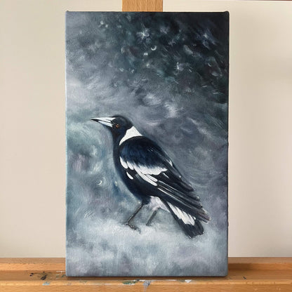 Storm Call Magpie