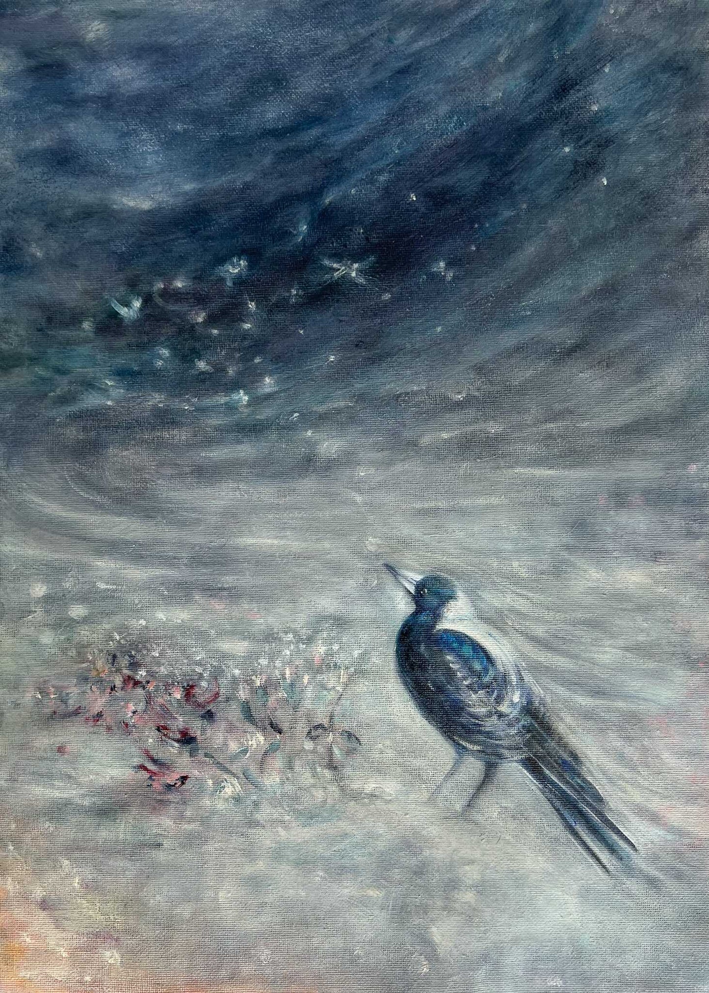 Mist Wing Magpie