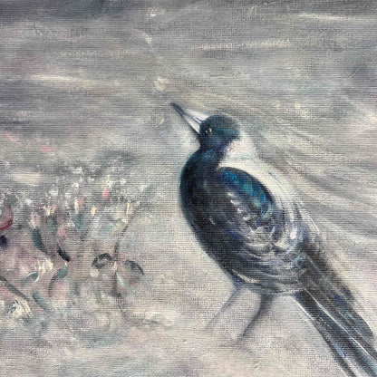 Mist Wing Magpie