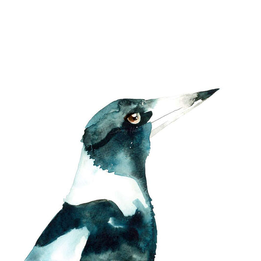 Magpie Art Print 8x8”
