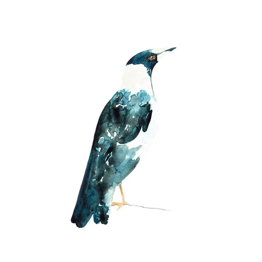 Magpie Art Print 8x8”