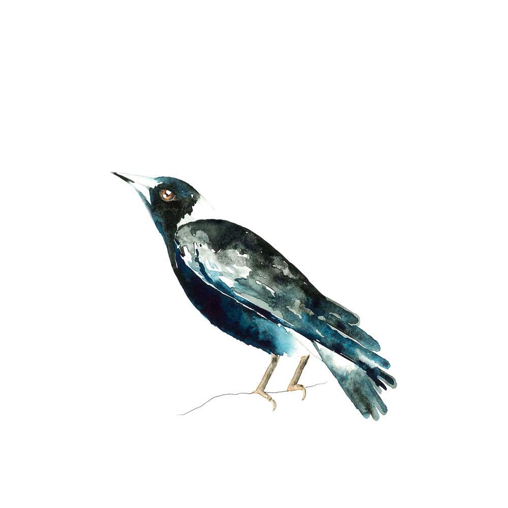 Magpie Art Print 8x8”