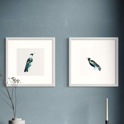 Magpie Art Print 8x8”